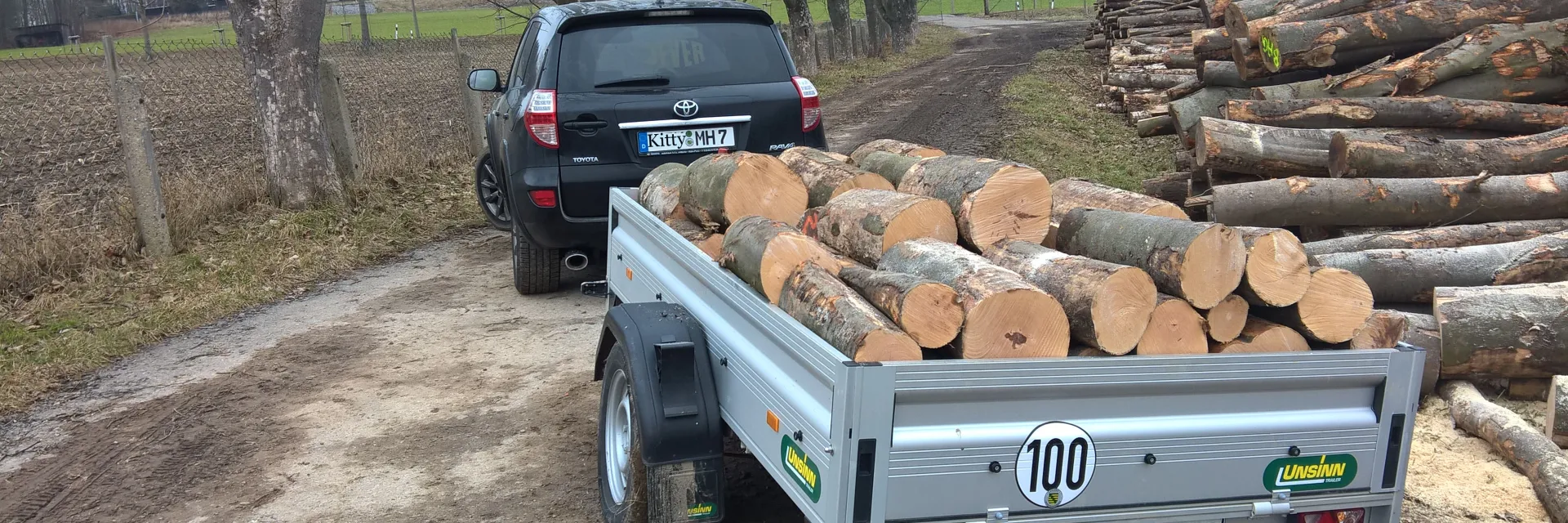 Kastenanhänger mit Holz 