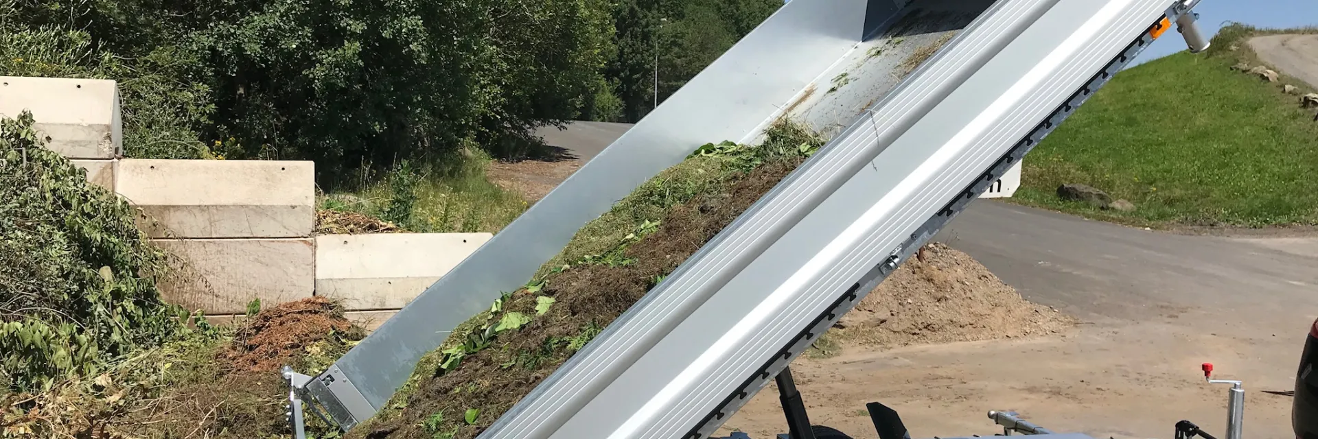 Kipper mit Schnittgrün