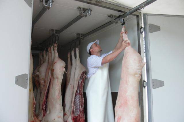 Kühlanhänger zum Transport von Schweinehälften